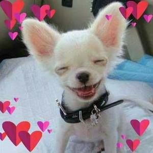 Meet your Posher, Charles